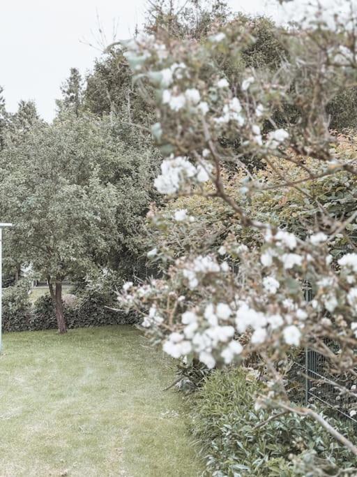 Appartamento Auszeit - Detmold Esterno foto