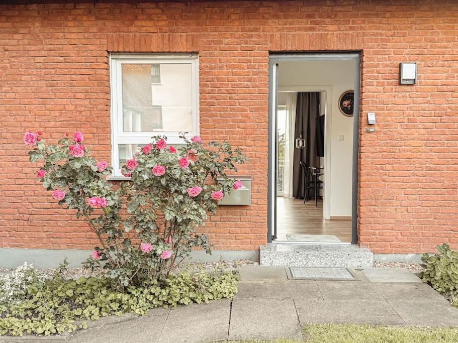Appartamento Auszeit - Detmold Esterno foto